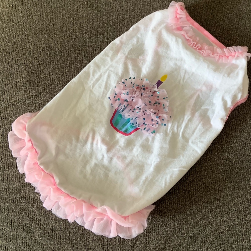 PET birthday outfit